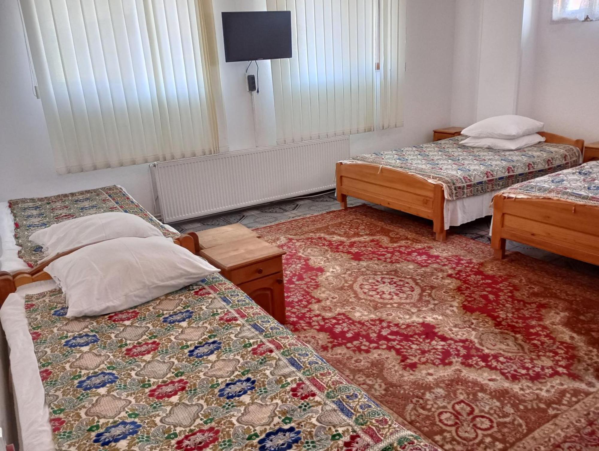 Pensiunea Irina 1 Si 2 Zărneşti Buitenkant foto