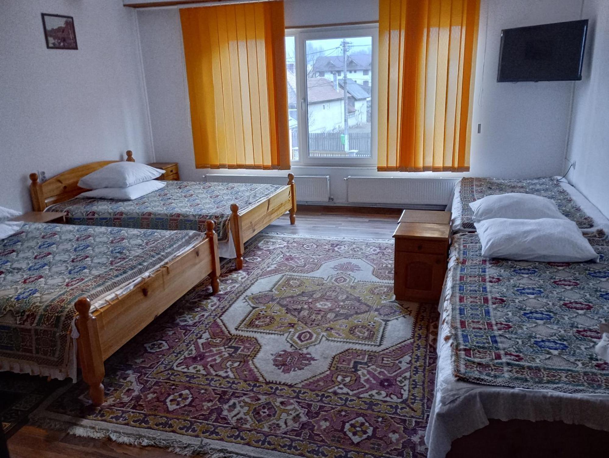 Pensiunea Irina 1 Si 2 Zărneşti Buitenkant foto