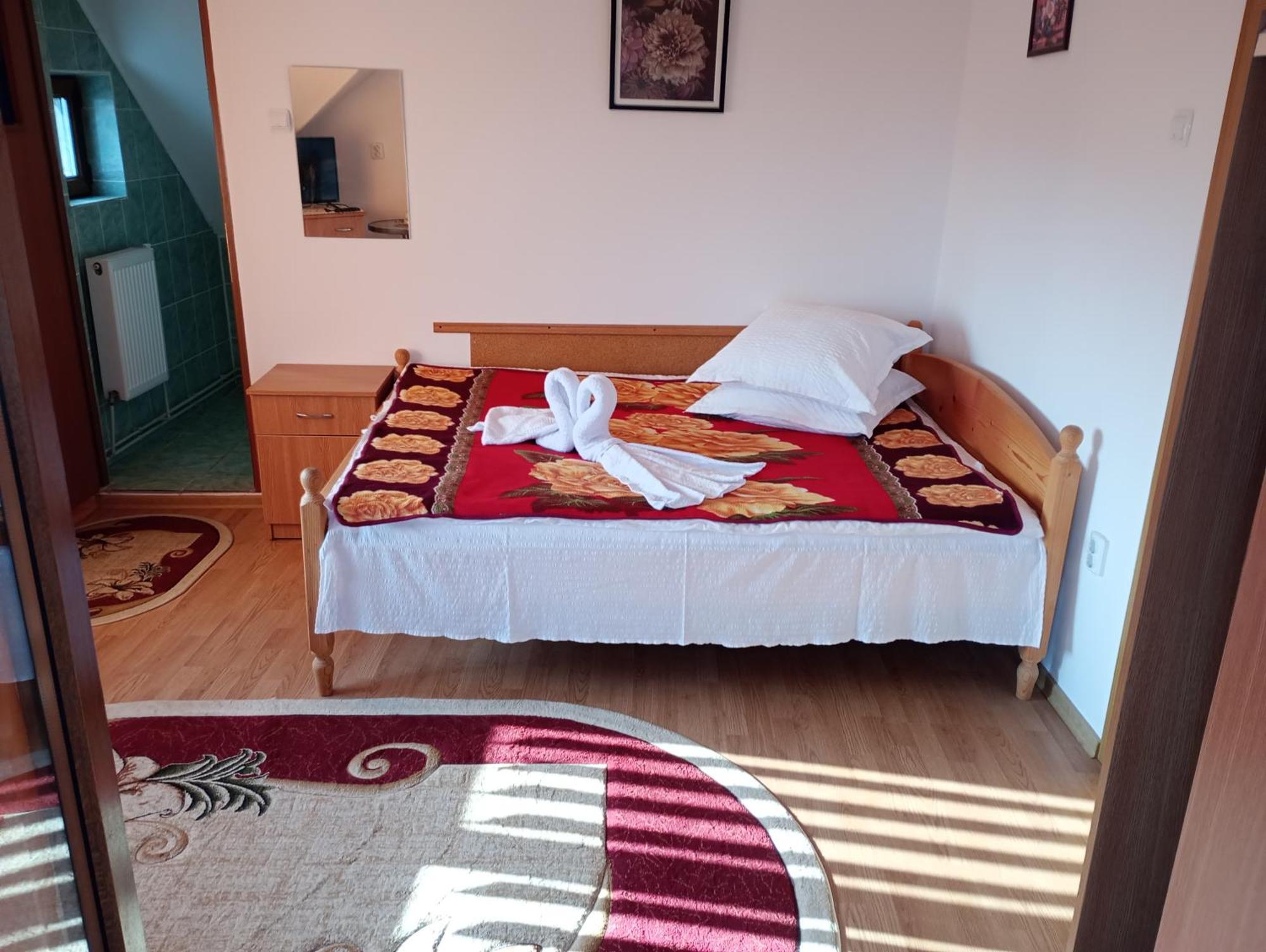 Pensiunea Irina 1 Si 2 Zărneşti Buitenkant foto