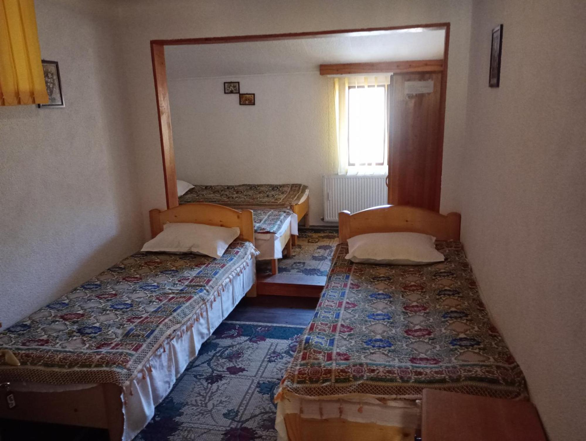 Pensiunea Irina 1 Si 2 Zărneşti Buitenkant foto