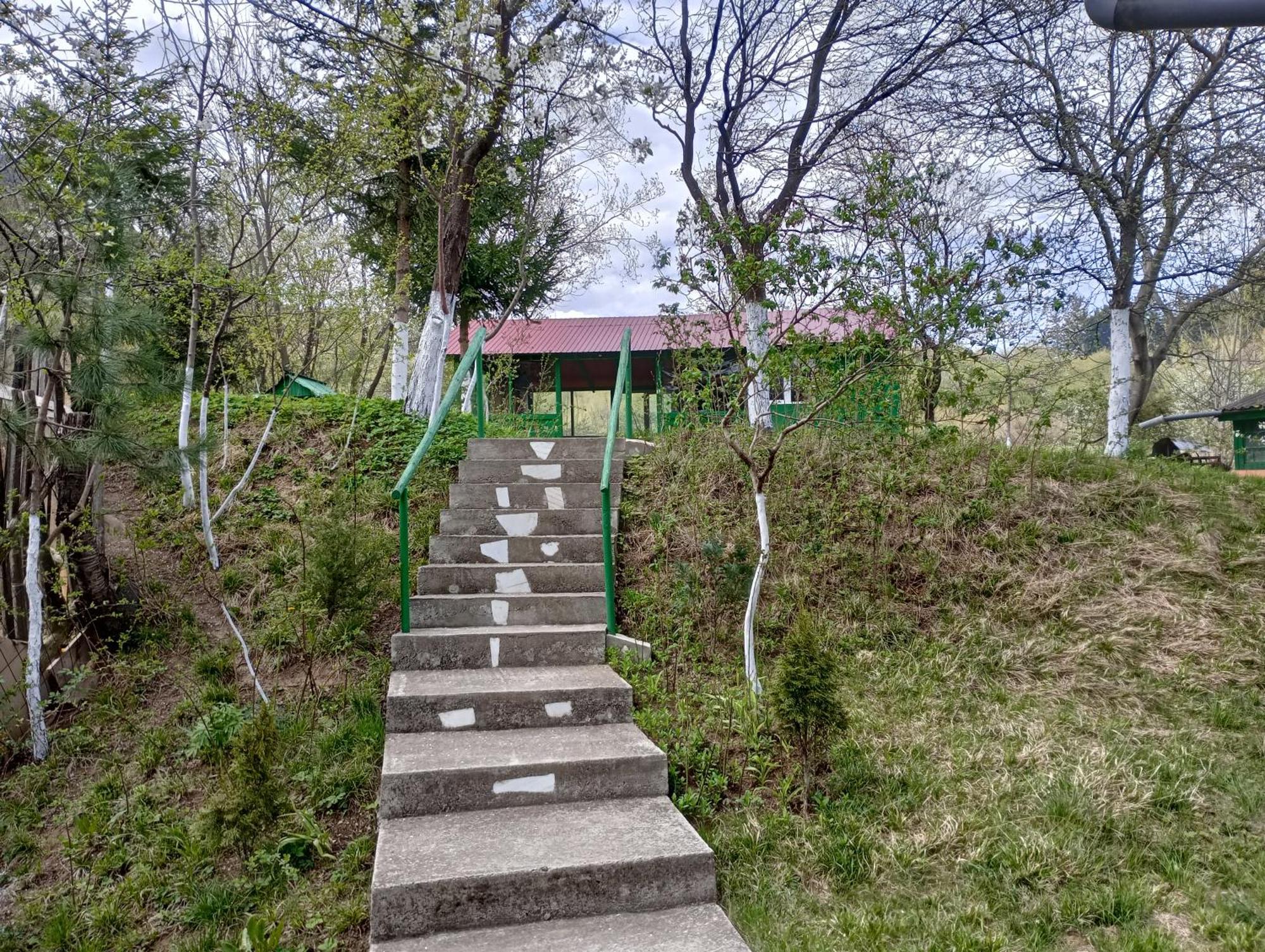 Pensiunea Irina 1 Si 2 Zărneşti Buitenkant foto