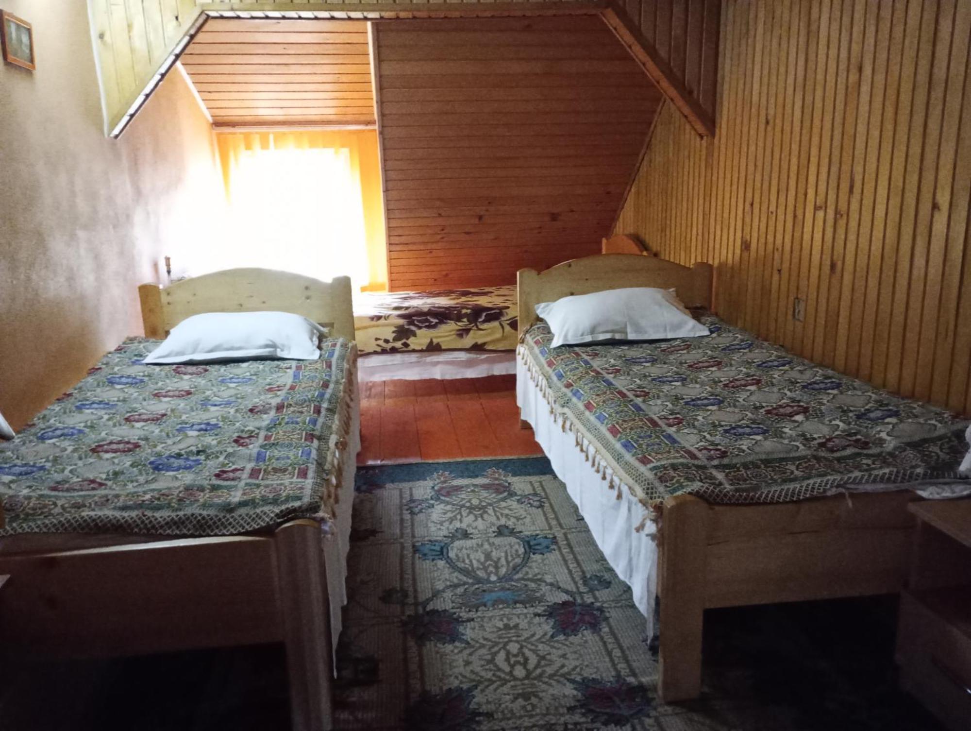 Pensiunea Irina 1 Si 2 Zărneşti Buitenkant foto