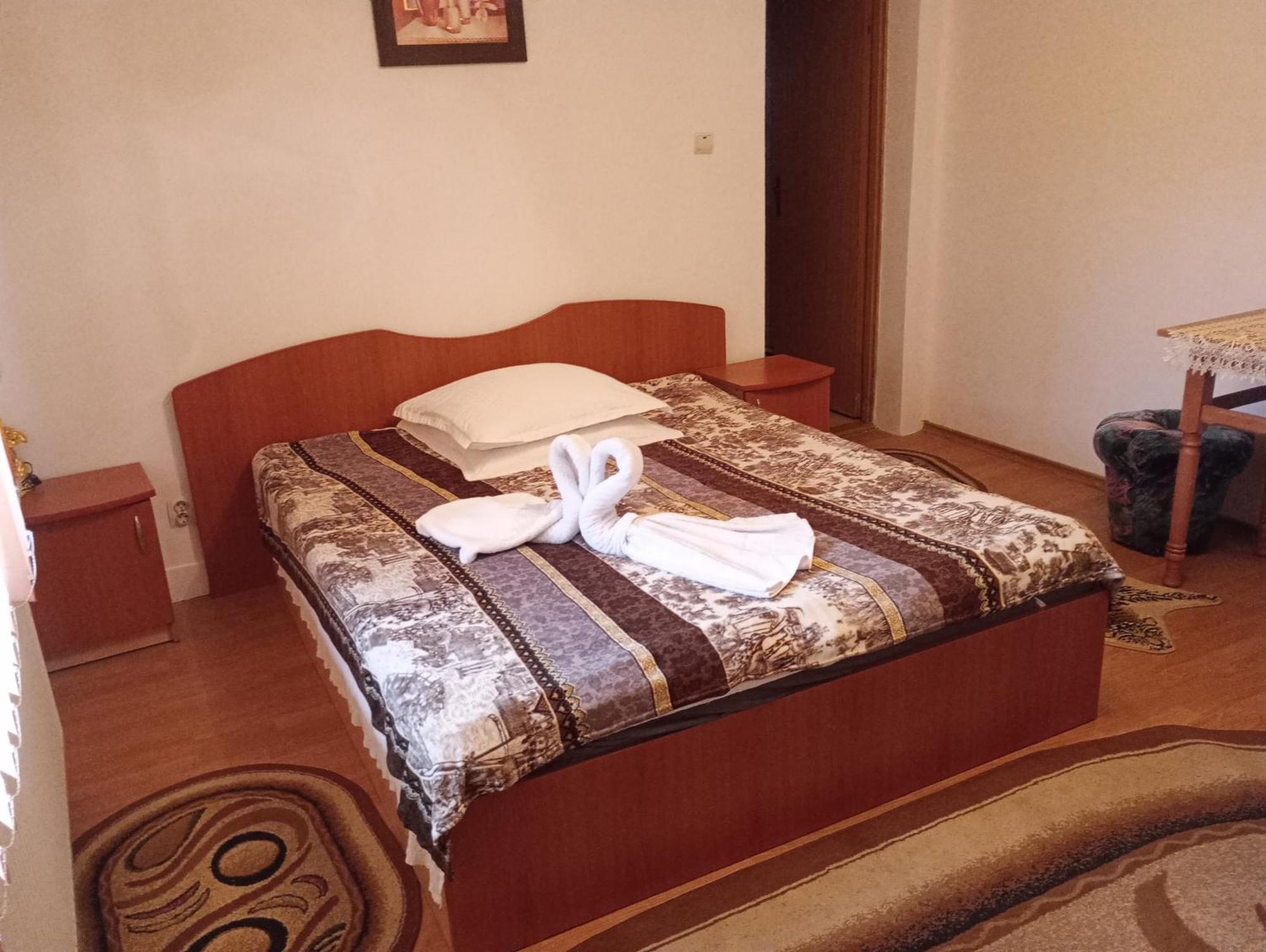 Pensiunea Irina 1 Si 2 Zărneşti Buitenkant foto