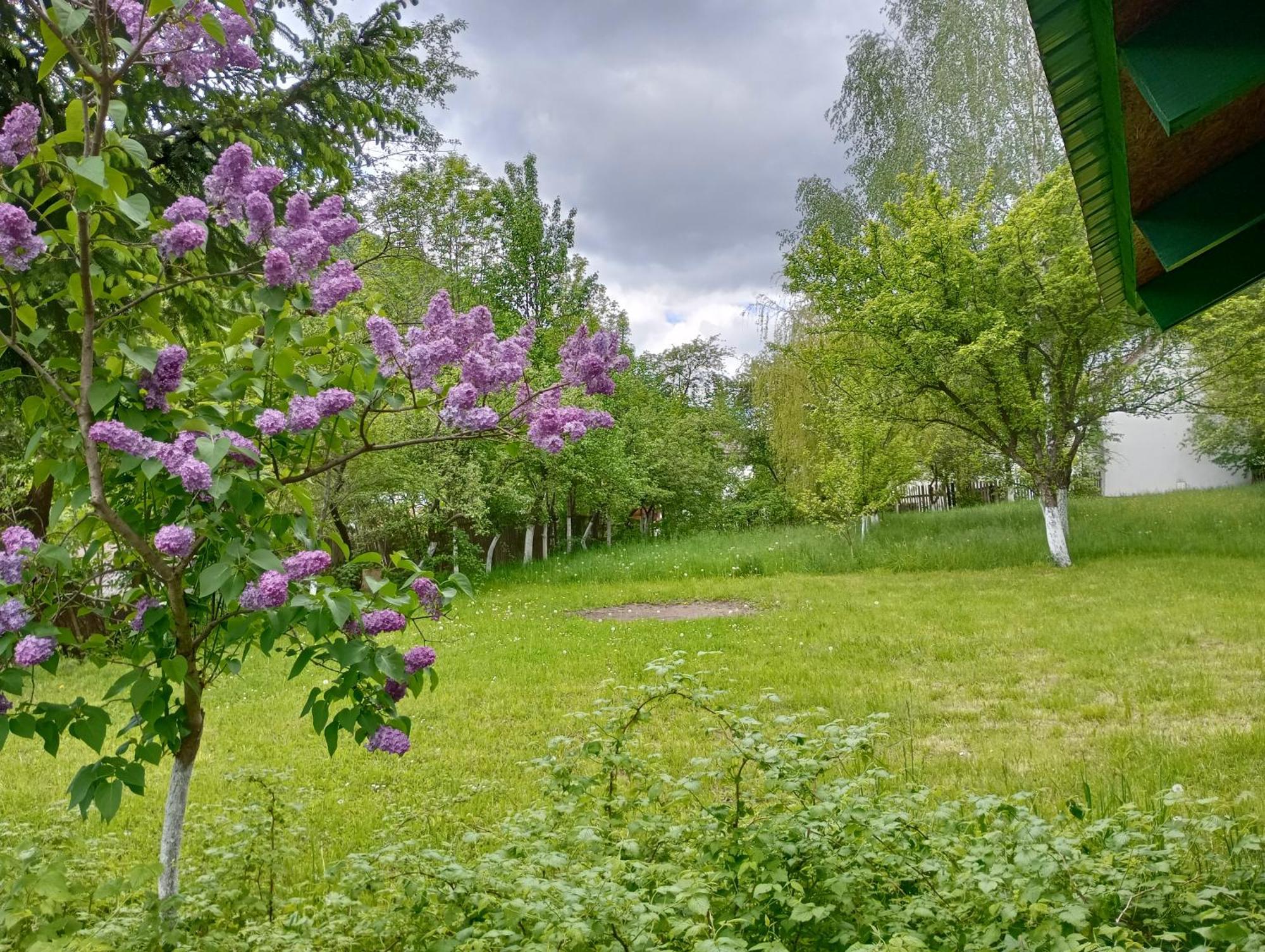 Pensiunea Irina 1 Si 2 Zărneşti Buitenkant foto