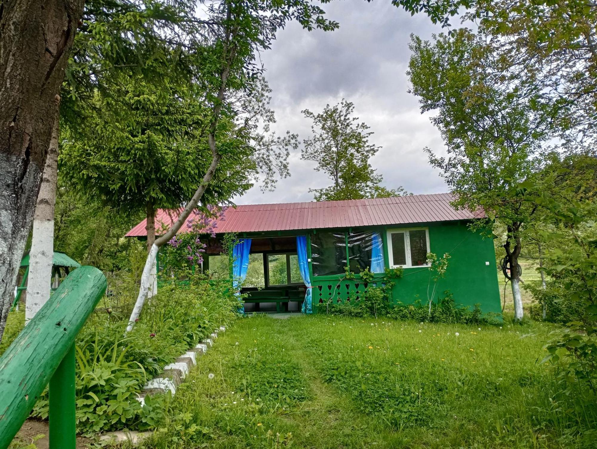 Pensiunea Irina 1 Si 2 Zărneşti Buitenkant foto