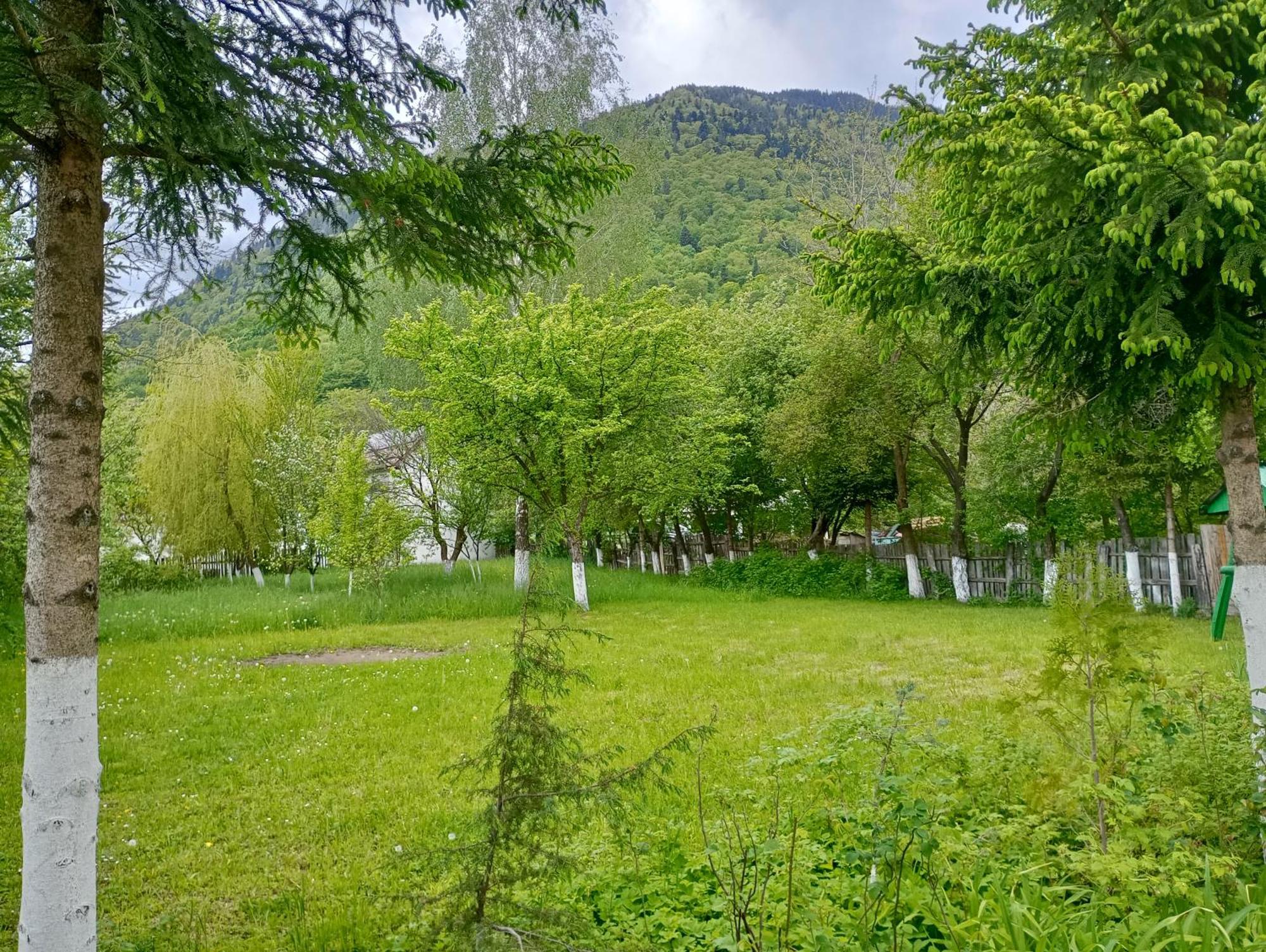 Pensiunea Irina 1 Si 2 Zărneşti Buitenkant foto